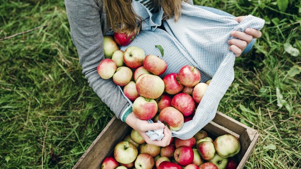 Beneficios del vinagre de manzana