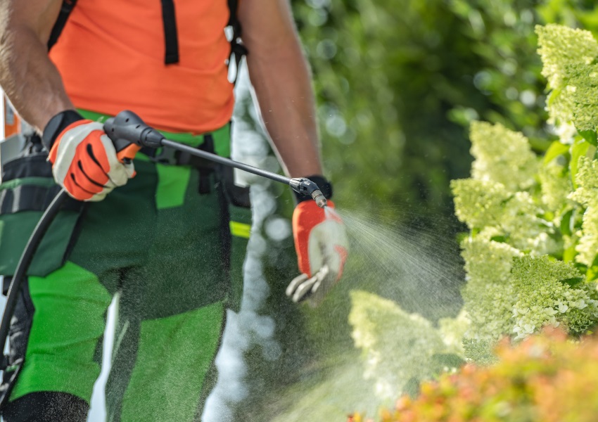 Mejores Usos del Vinagre en Agricultura Ecologica 2 Mejores Usos del Vinagre en Agricultura Ecológica